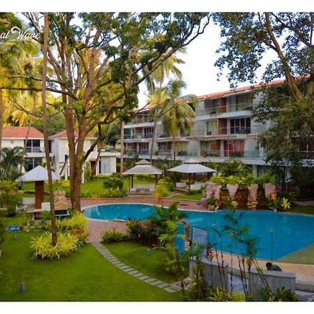 Aarju Luxurious Stay Calangute Exteriör bild